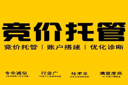 探索sem账户托管的优化策略与效果